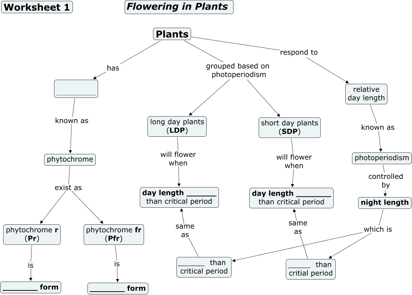 Phytochrome worksheet 1